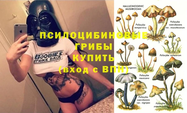 винт Бронницы